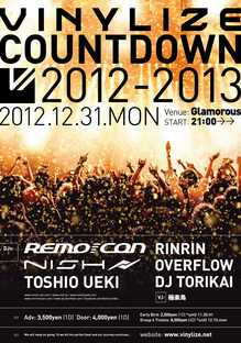 VINYLIZE FLYER 2012