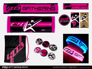 S2TB Gathering2013 Goods