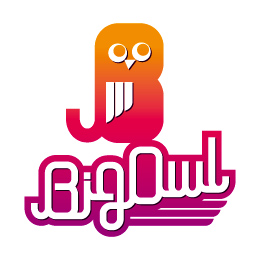Big Owl Logo